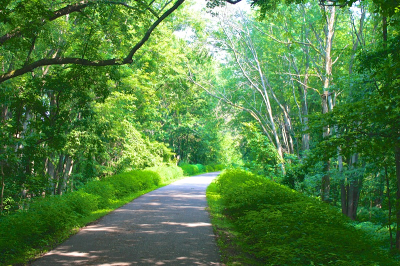 Ionia River Trail